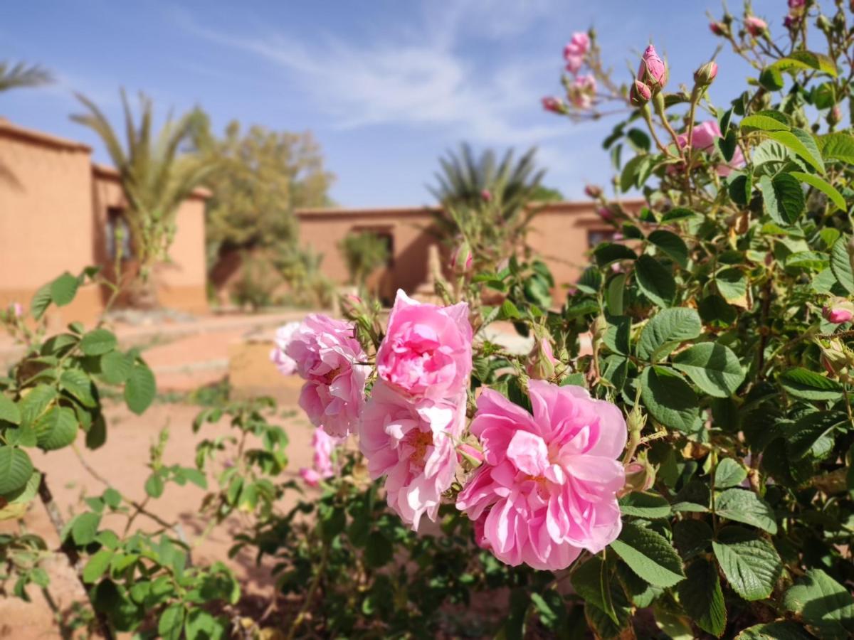 Maison D'Hotes Tigminou - Adults Only Aït Benhaddou Dış mekan fotoğraf