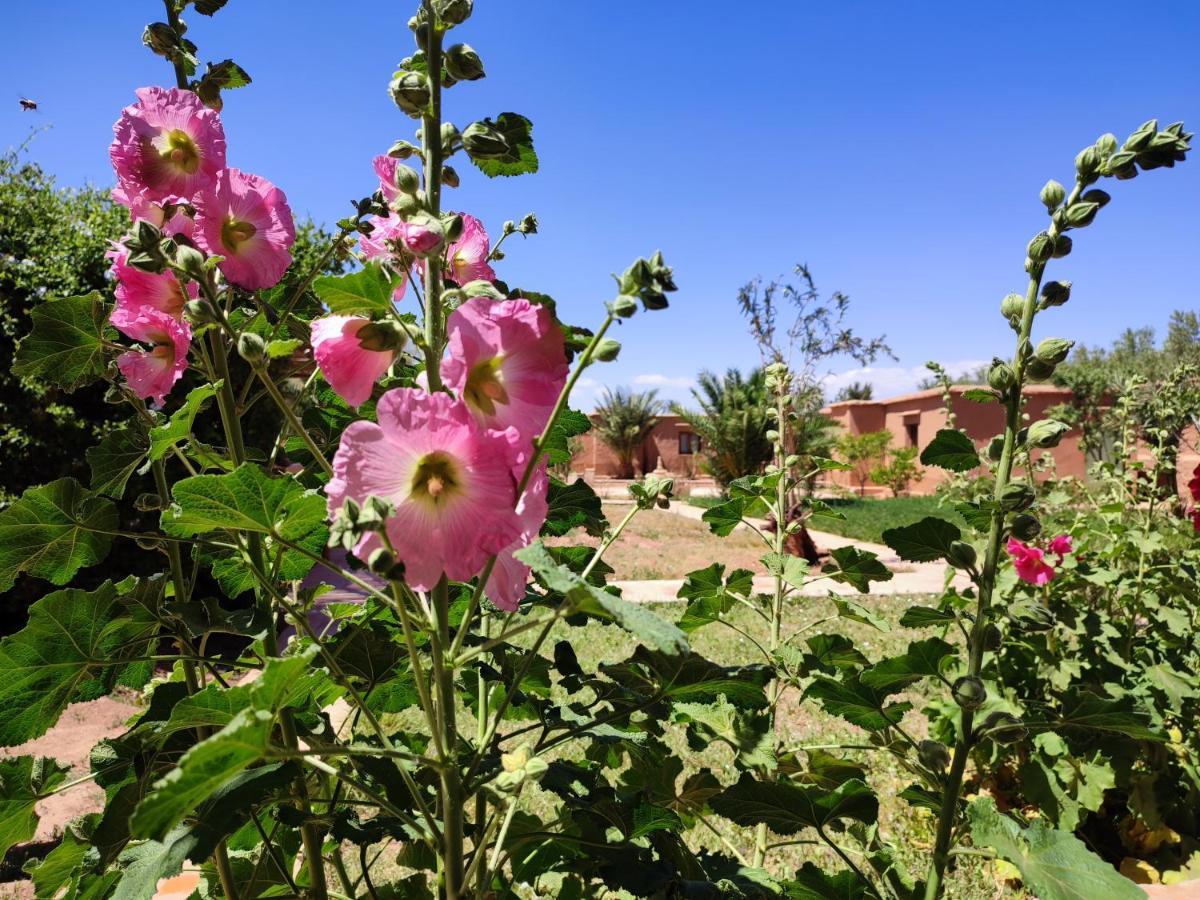 Maison D'Hotes Tigminou - Adults Only Aït Benhaddou Dış mekan fotoğraf